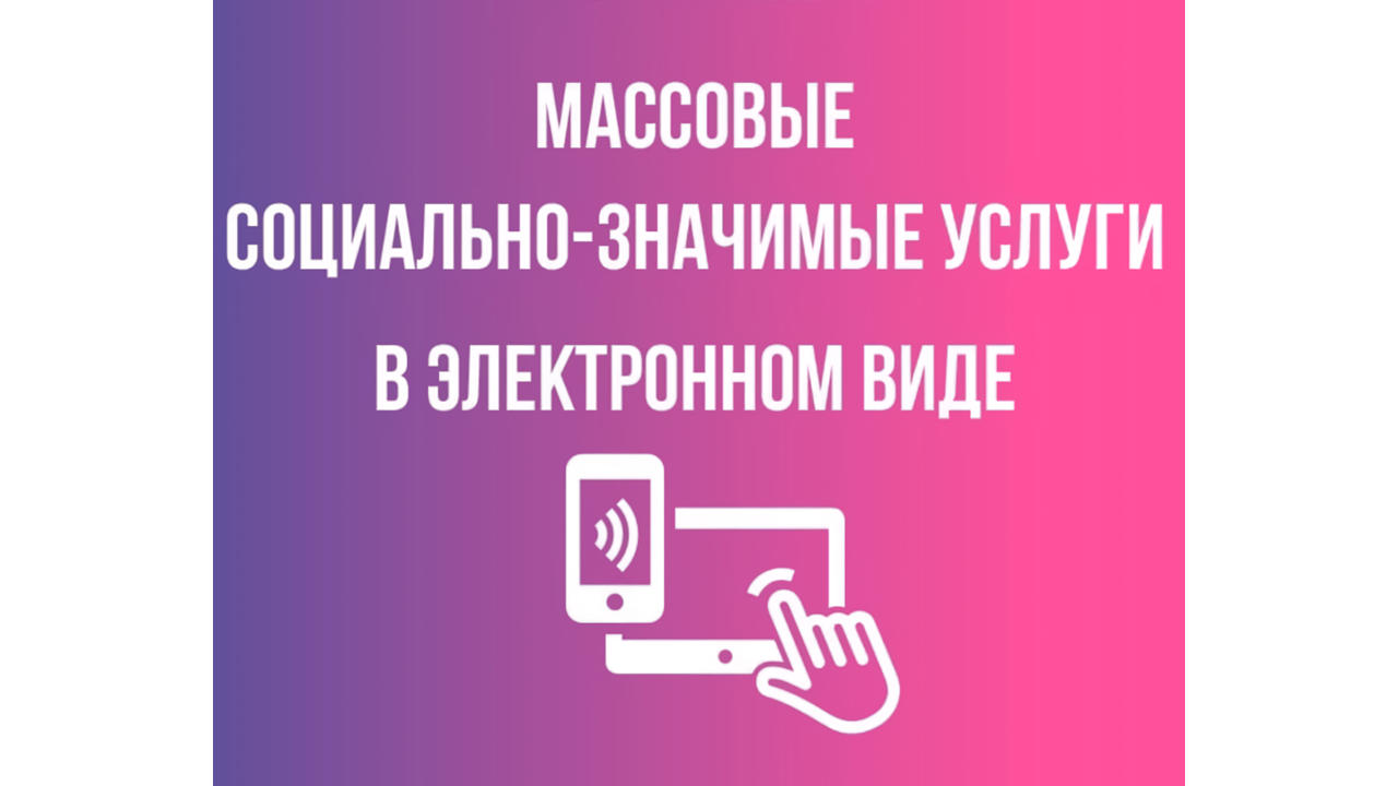 Возможность получения массовых социально значимых государственных и муниципальных услуг в электронном виде.